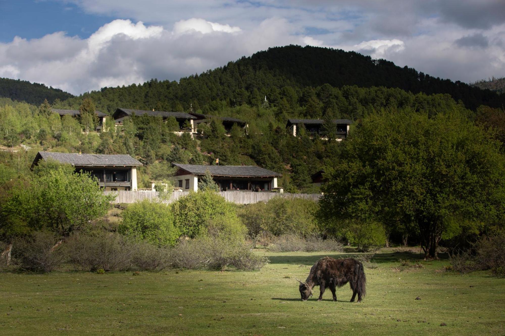 Banyan Tree Ringha Hotell Shangri-La Eksteriør bilde